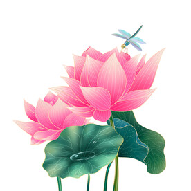 精美古典国风手绘荷花蜻蜓插画