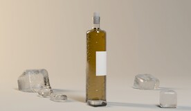 玻璃酒瓶模型