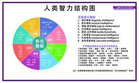 人类智力结构图