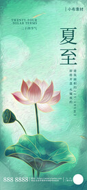 夏至节气海报
