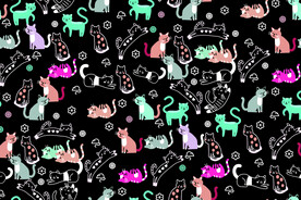 小猫