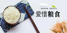 珍惜粮食公益展板