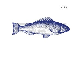 矢量鱼