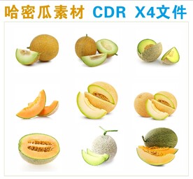 哈密瓜高清素材