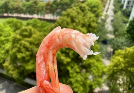 甜虾