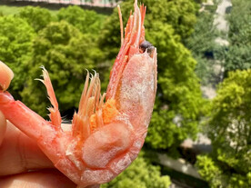 甜虾