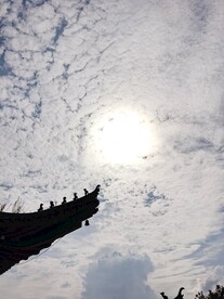 迎着太阳