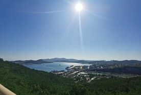 迎着太阳