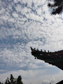 迎着太阳