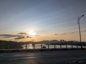 迎着太阳
