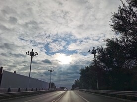 迎着太阳