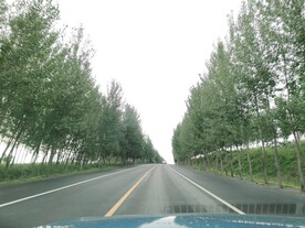 迎着太阳