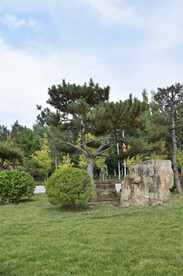公园图片