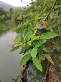 无锡山水