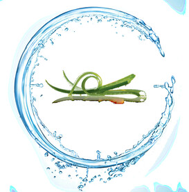 水花素材