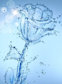水花素材