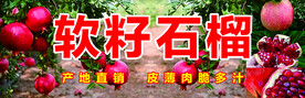 软籽石榴