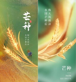 地产芒种海报