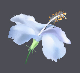 花