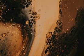啤酒花