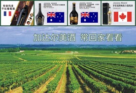 红酒酒庄