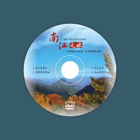 光盘碟面设计