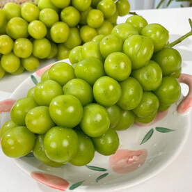 阳光玫瑰葡萄