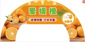 爱媛橙拱门