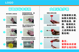 留取尿标本流程