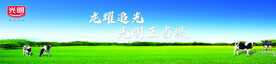 光明乳业海报光明牛奶堆头展板