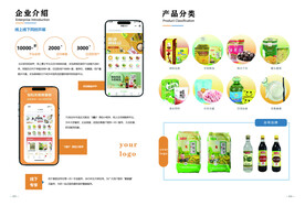 平台介绍产品展示设计