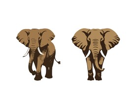 大象复古插画
