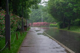 下雨的天气