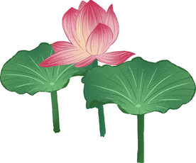 手绘漂亮的荷花荷叶插画元素图片