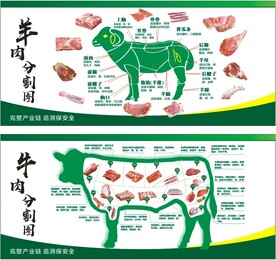 牛羊肉分割图