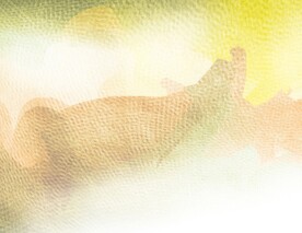 创意水彩抽象艺术画水彩晕染