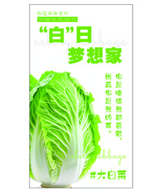 大白菜