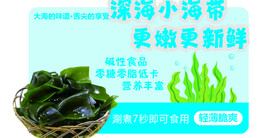 海带文化牌