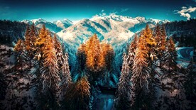 远眺高耸的雪山
