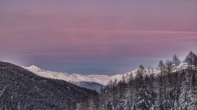 森林与雪山