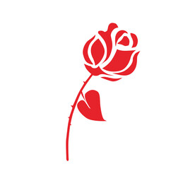 玫瑰花图片