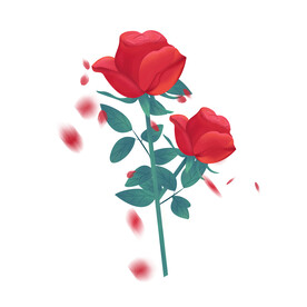 玫瑰花图片