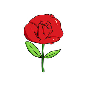 玫瑰花图片