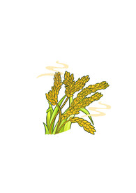 手绘小麦