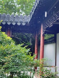 曾赵园