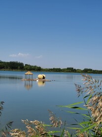 大湿地