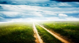 草地道路