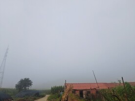 农村小院