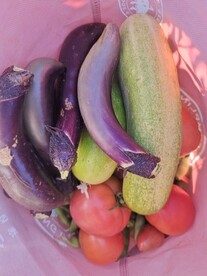 茄子黄瓜