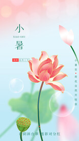 二十四节气 小暑 